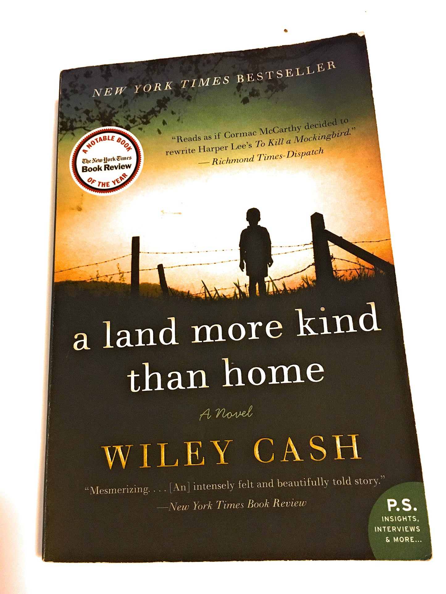 A Land More Kind Than Home: A Novel