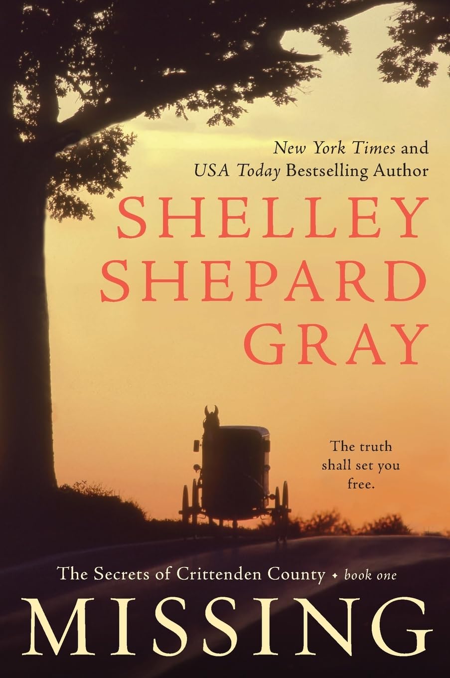 MISSING (Secrets of Crittenden County, 1)