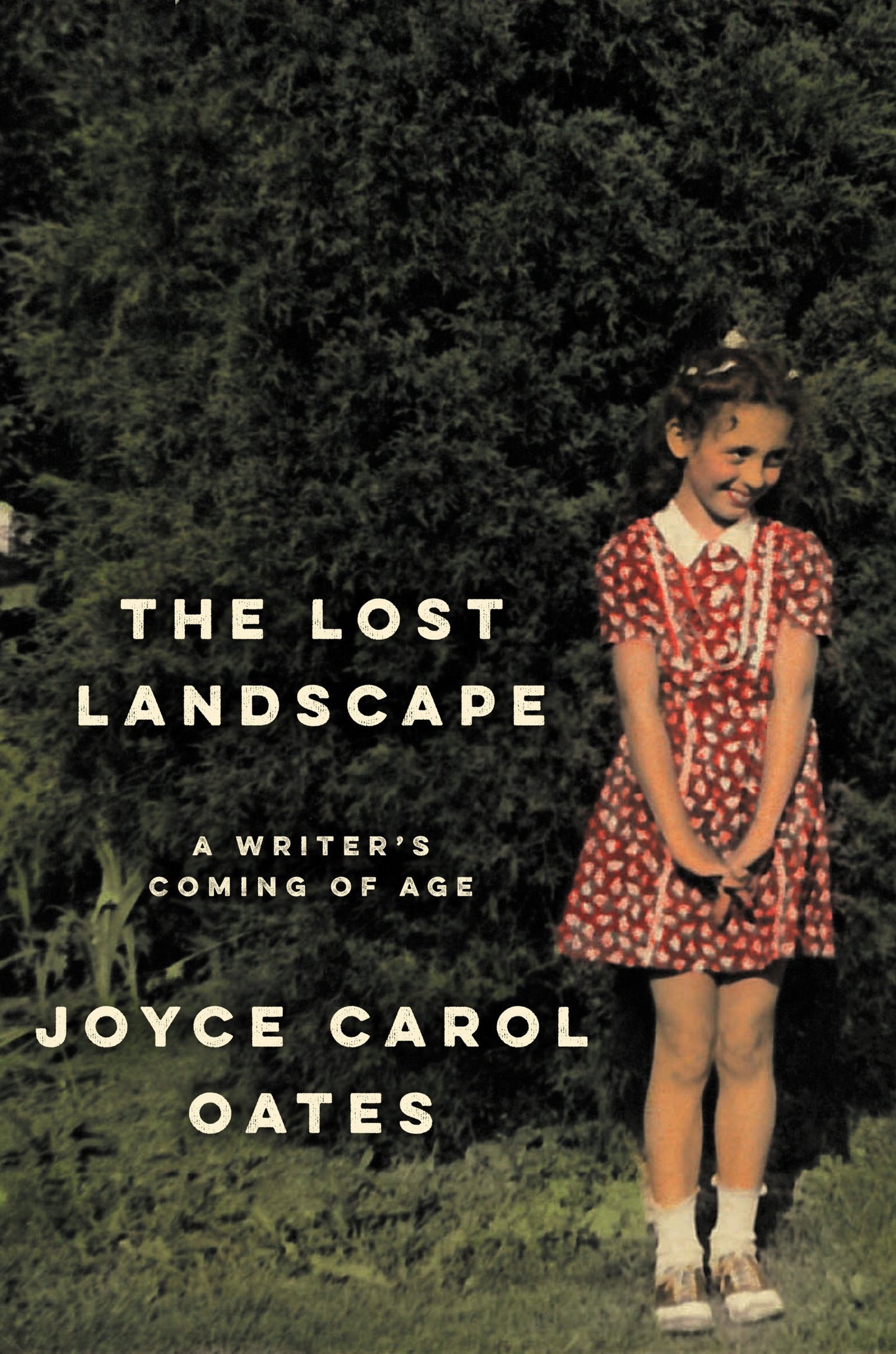 The Lost Landscape: A Writer's Coming of Age – An Honest Memoir of Rural Farm Childhood and Literary Craft