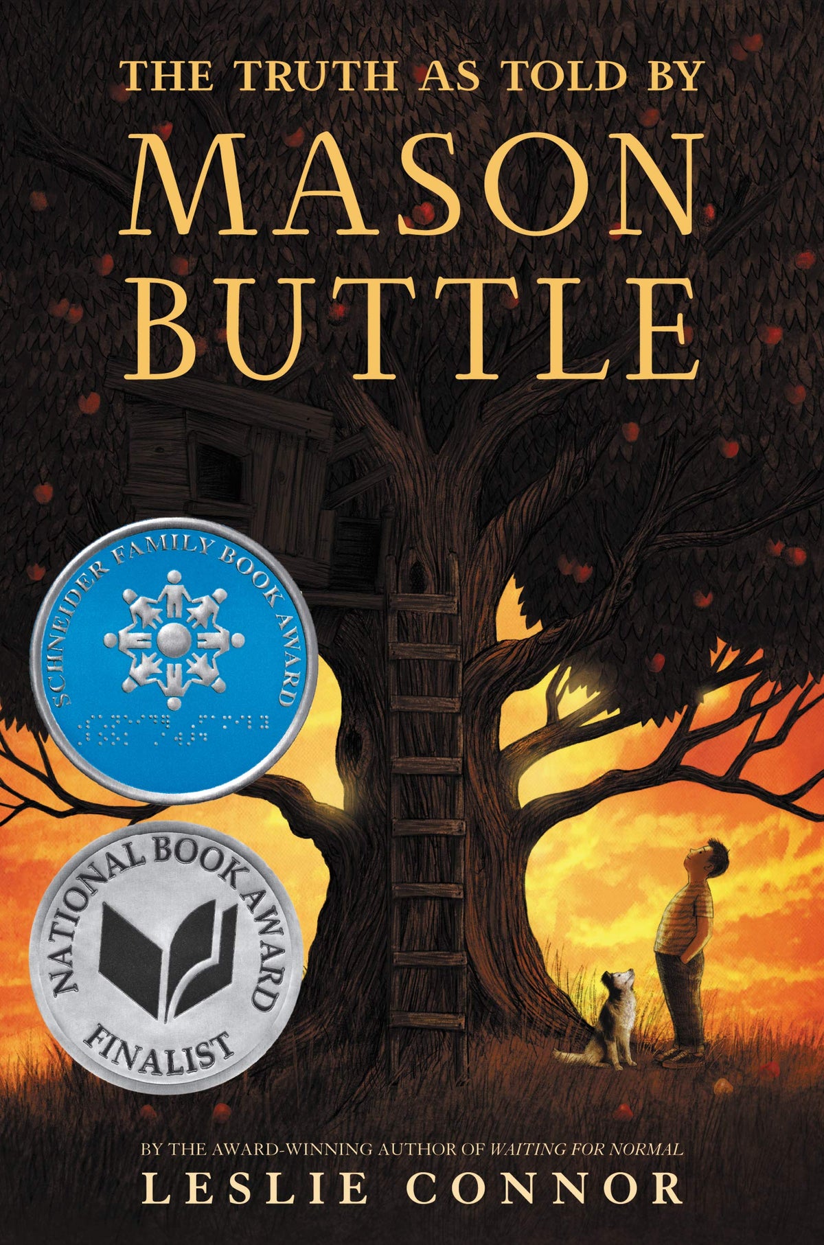 The Truth as Told by Mason Buttle: A National Book Award Finalist Middle Grade Story About Learning Disabilities and Hope for Kids (Ages 8-12)