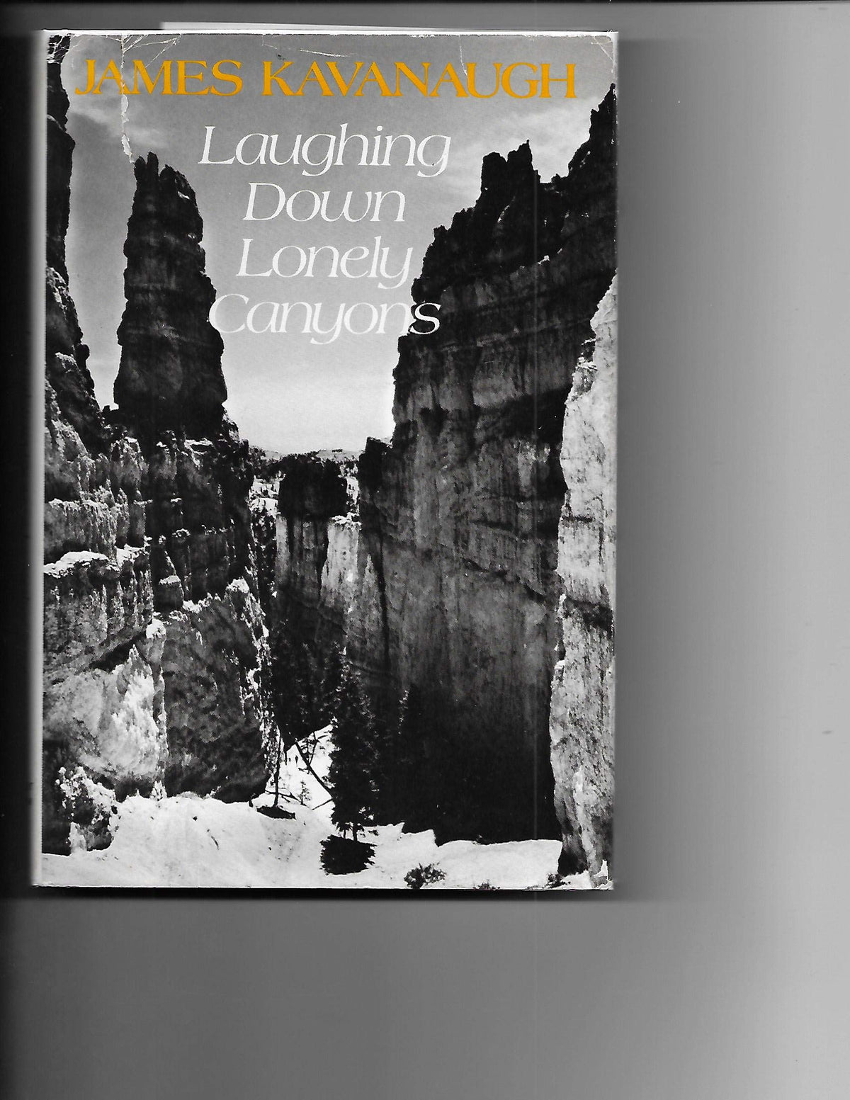 Laughing Down Lonely Canyons