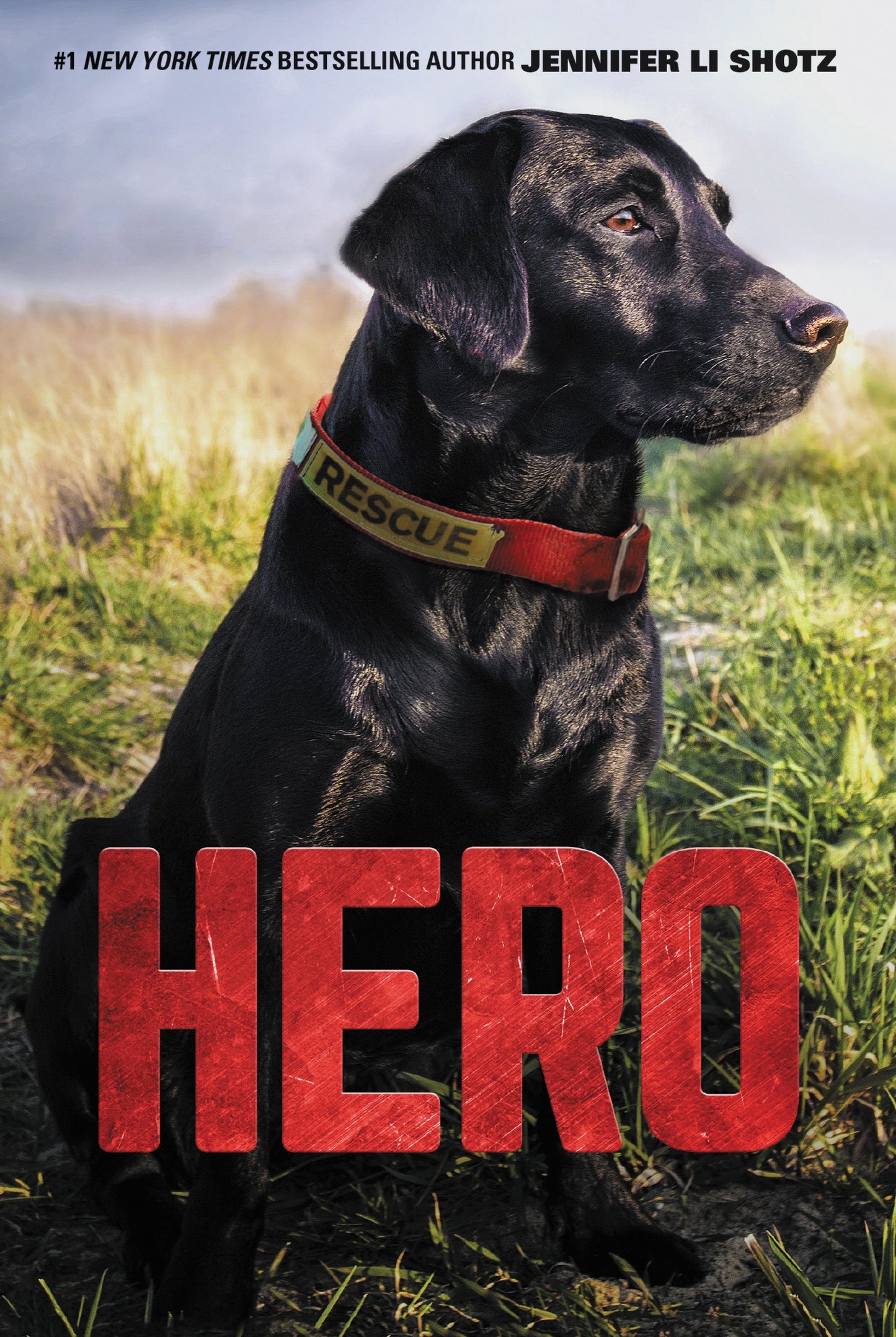 Hero: A Rescue Dog Adventure About Danger and Unbreakable Bonds for Kids (Ages 8-12)