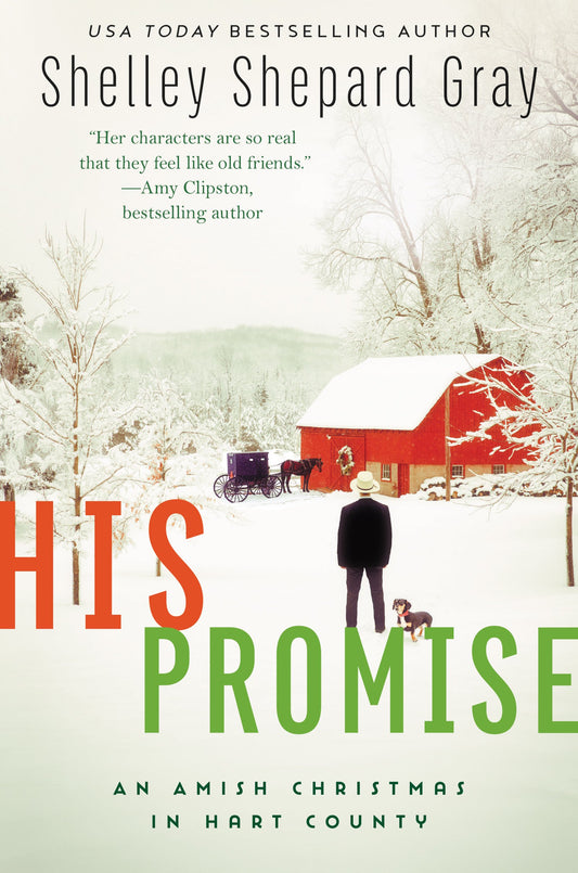 His Promise: An Amish Christmas in Hart County (Amish of Hart County, 6)