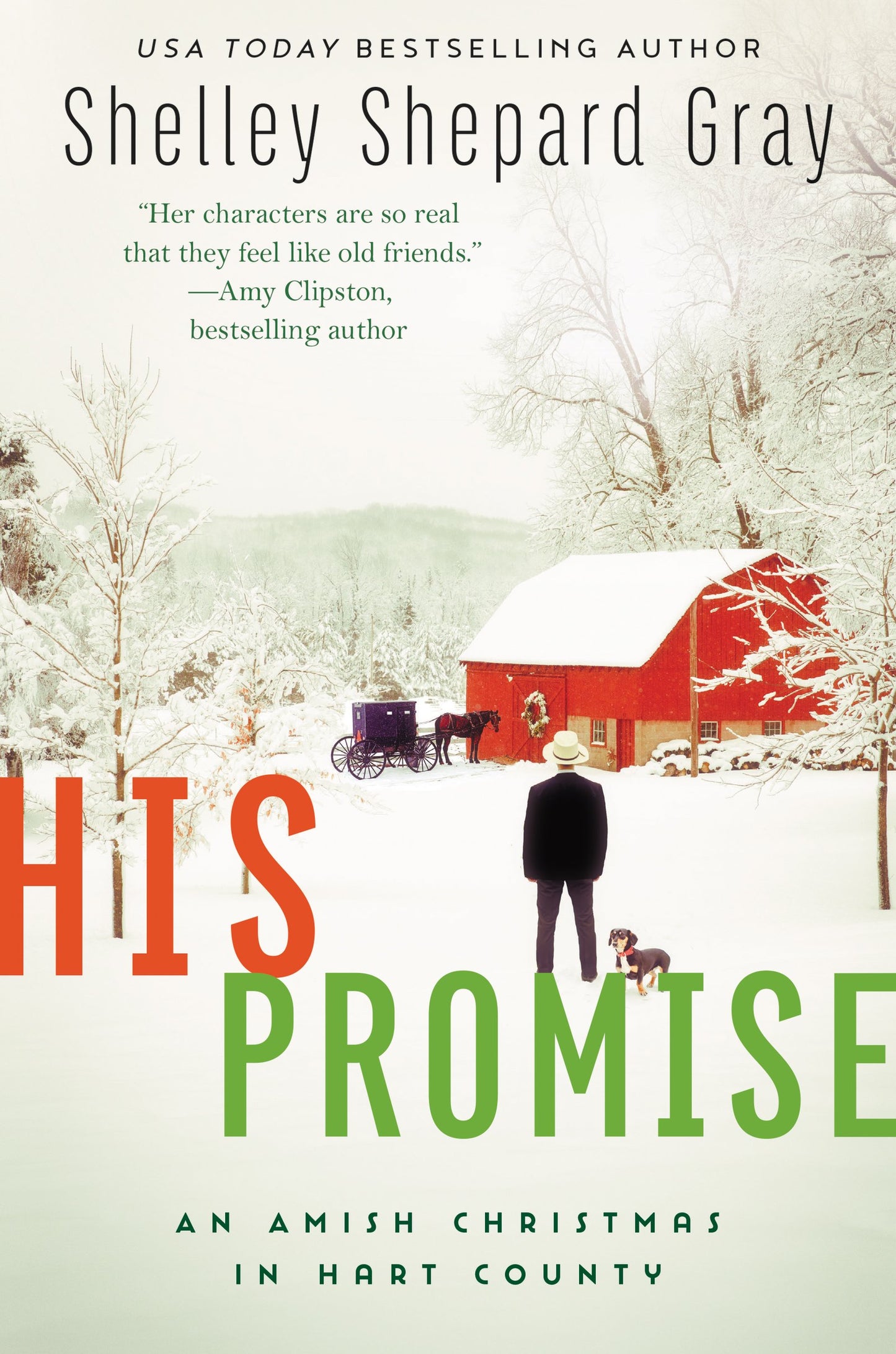 His Promise: An Amish Christmas in Hart County (Amish of Hart County, 6)