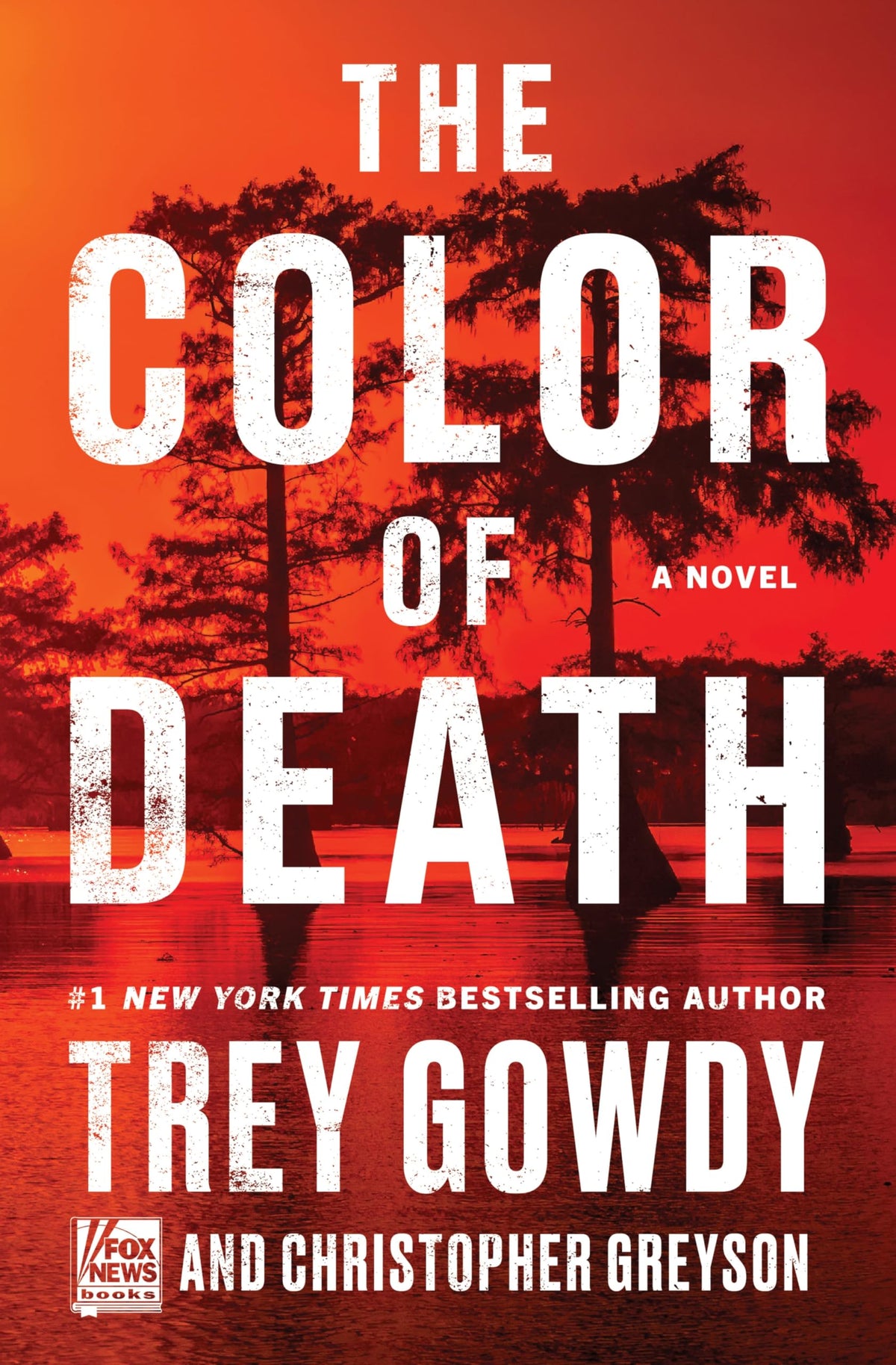 The Color of Death: A Novel ― A Dark Mystery Debut about a Murder in a Small Southern Town