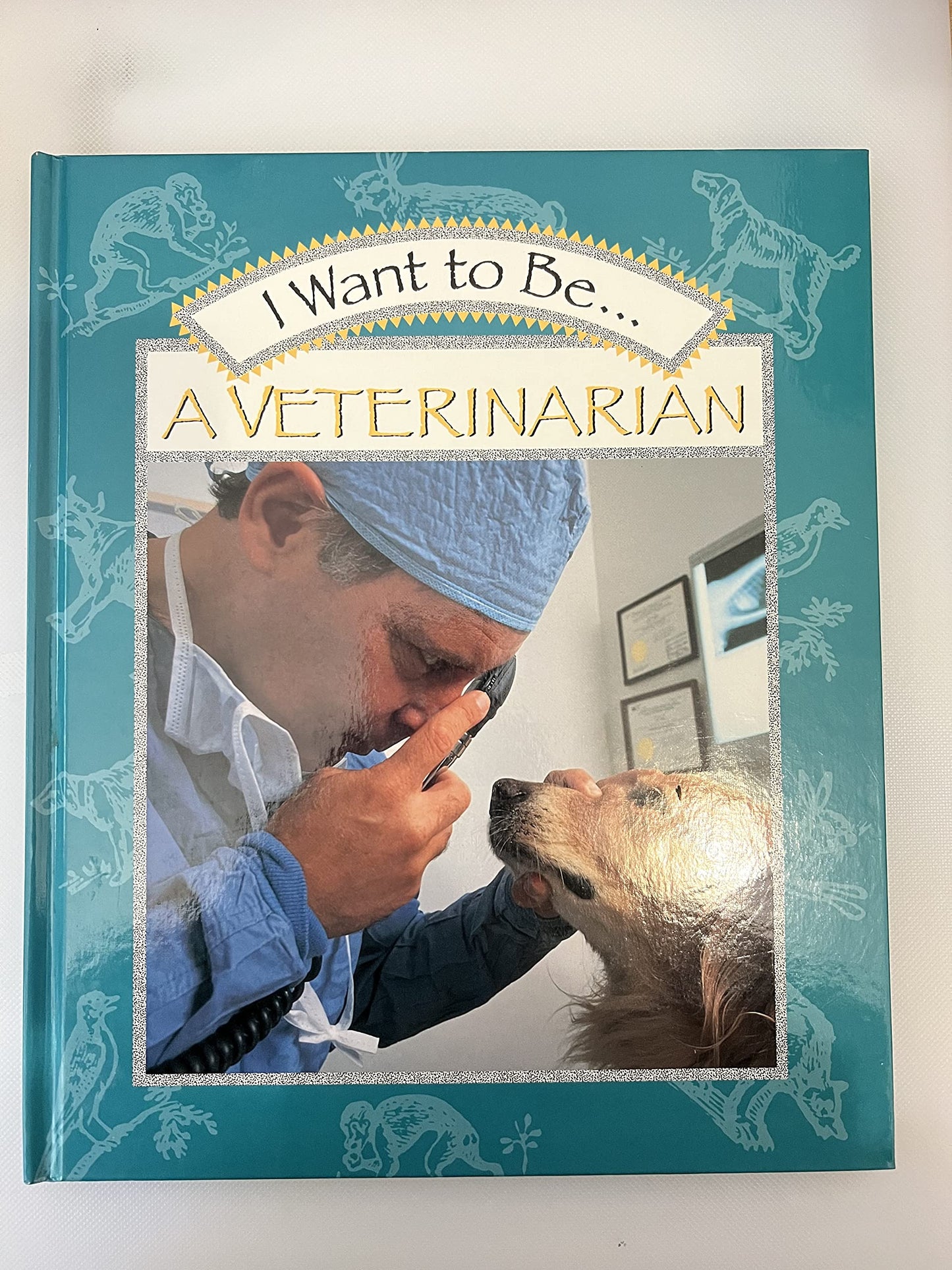 I Want to Be...a Veterinarian (I Want to Be... Series)