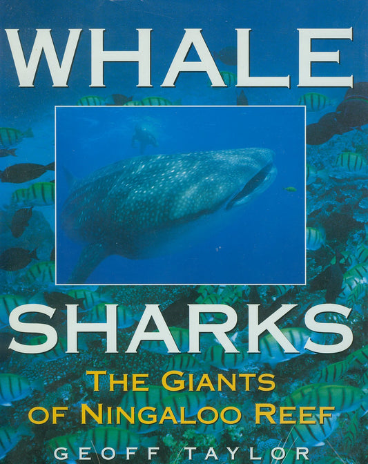 Whale Sharks: The Giants of Ningaloo Reef
