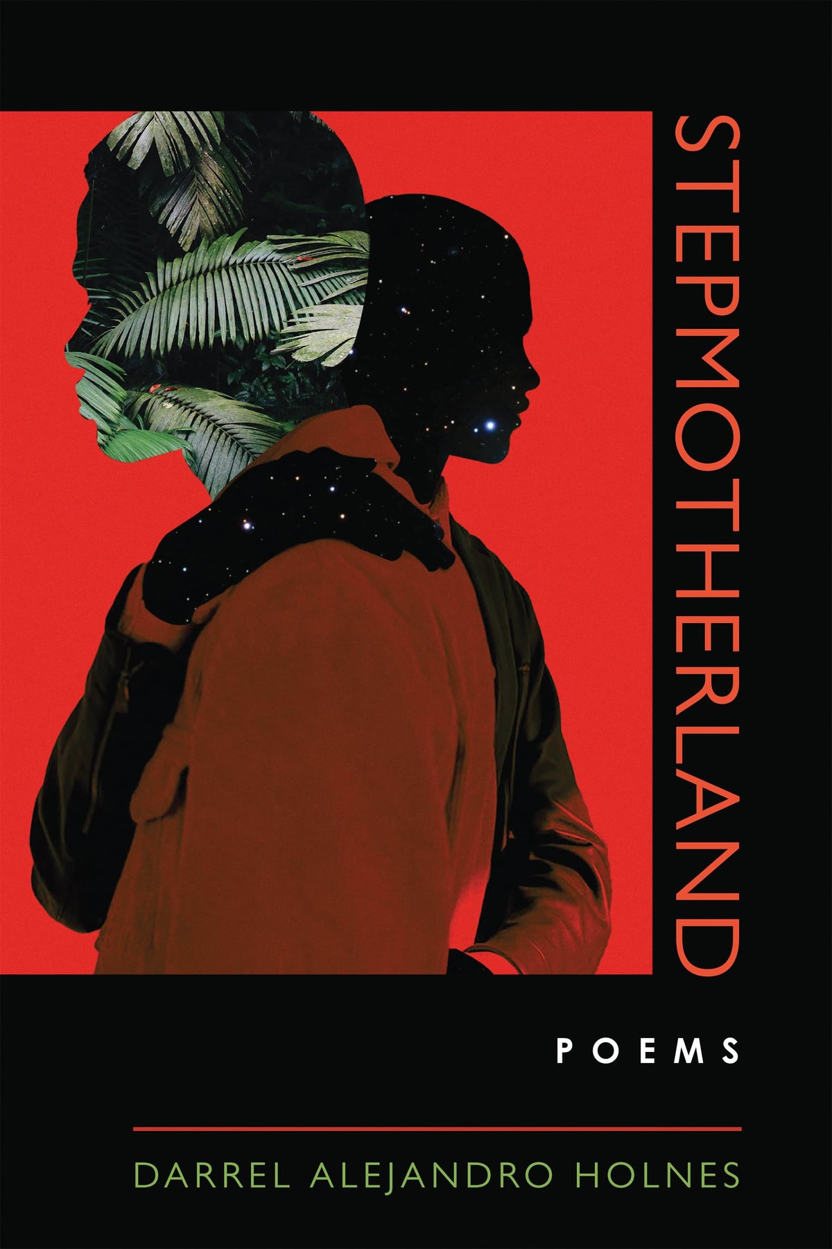 Stepmotherland (Andrés Montoya Poetry Prize)