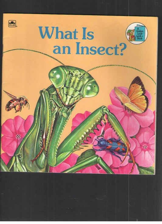 What Is an Insect? (Golden Look-Look Book)