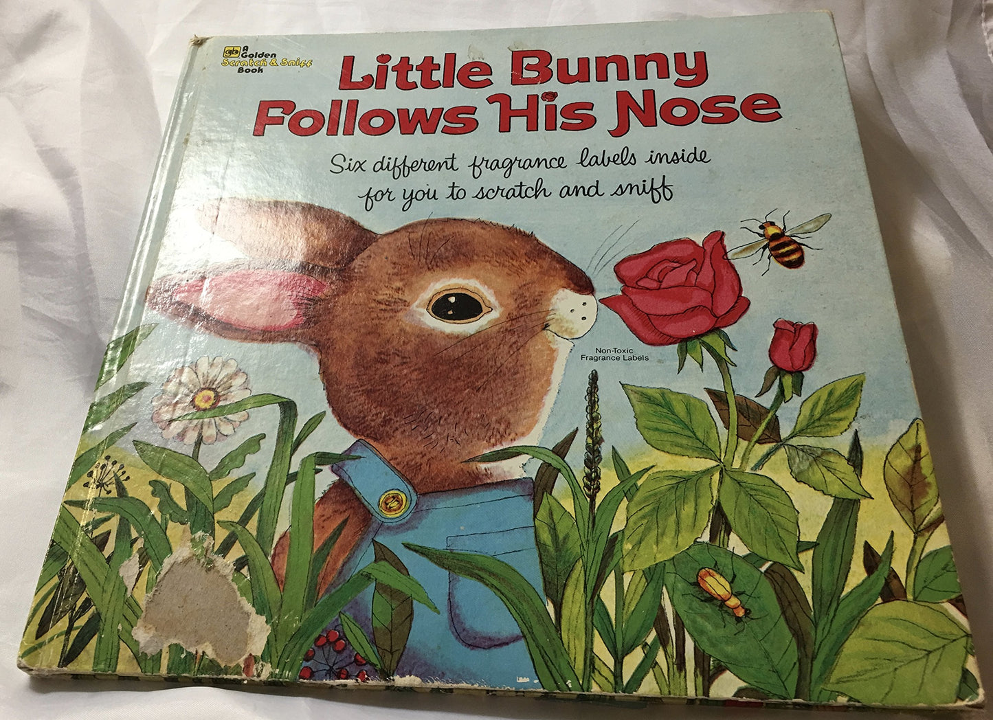 Little Bunny Follows His Nose