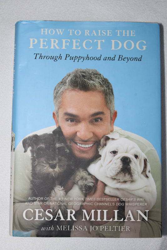 How to Raise the Perfect Dog: Through Puppyhood and Beyond