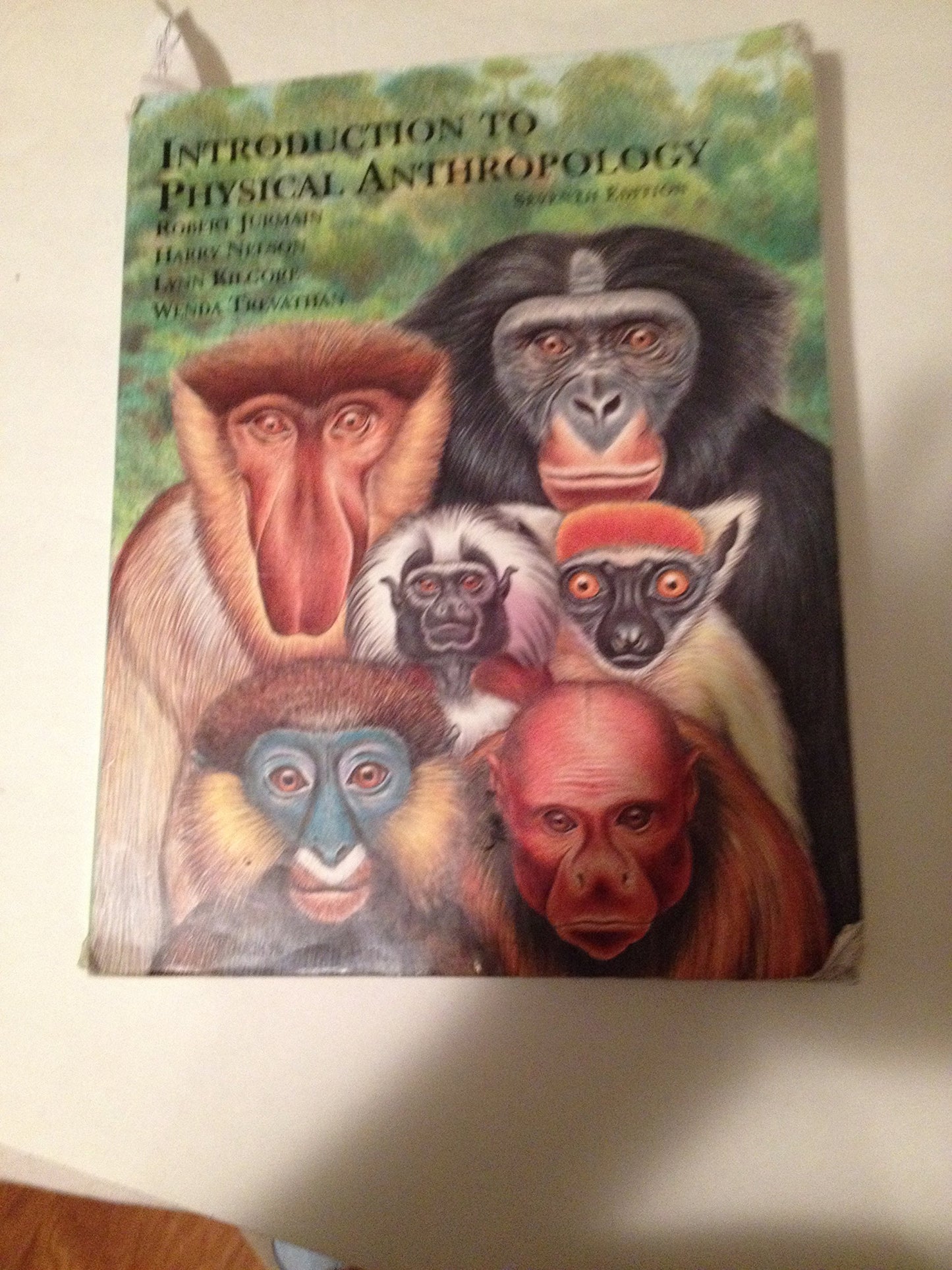 Introduction to Physical Anthropology