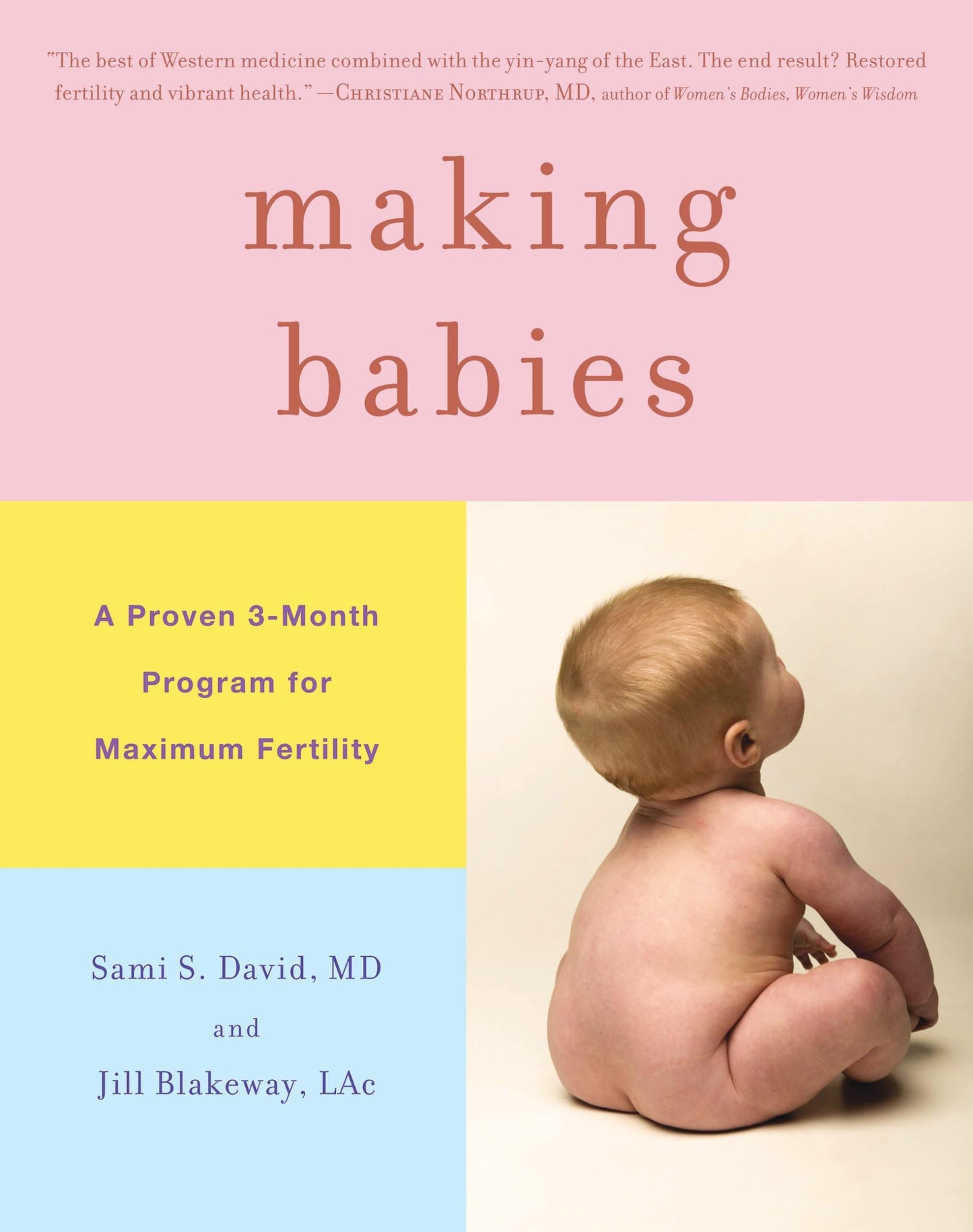 Making Babies: A Proven 3-Month Program for Maximum Fertility - 6756