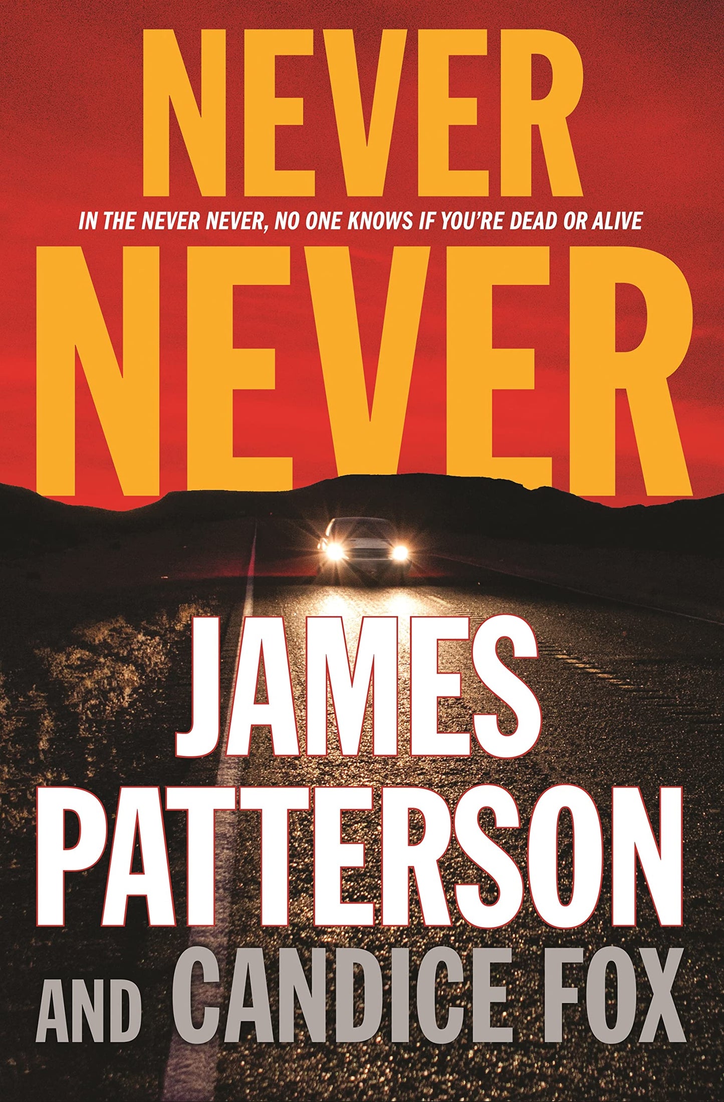 Never Never (Harriet Blue, 1)