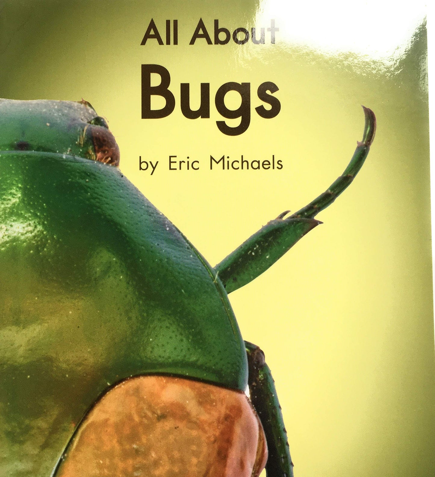 All About Bugs