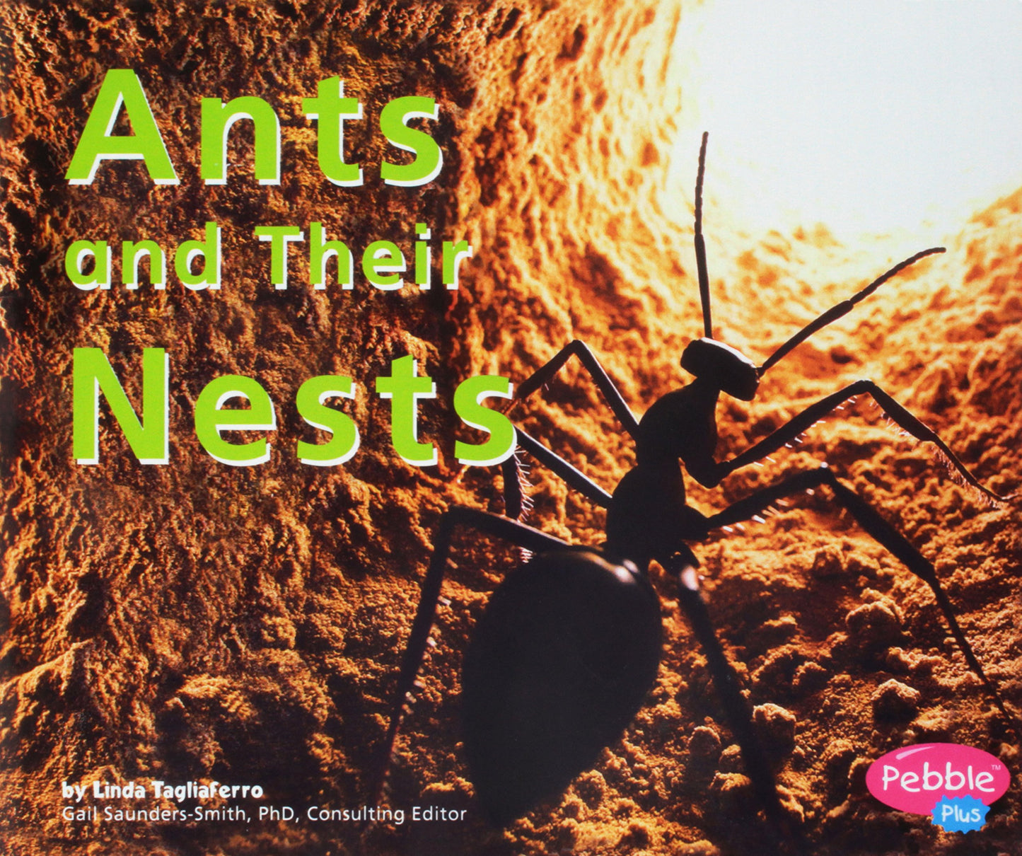 READING 2010 READ-ALOUD GRADE K UNIT 6 WEEK 6 ANTS AND THEIR NESTS