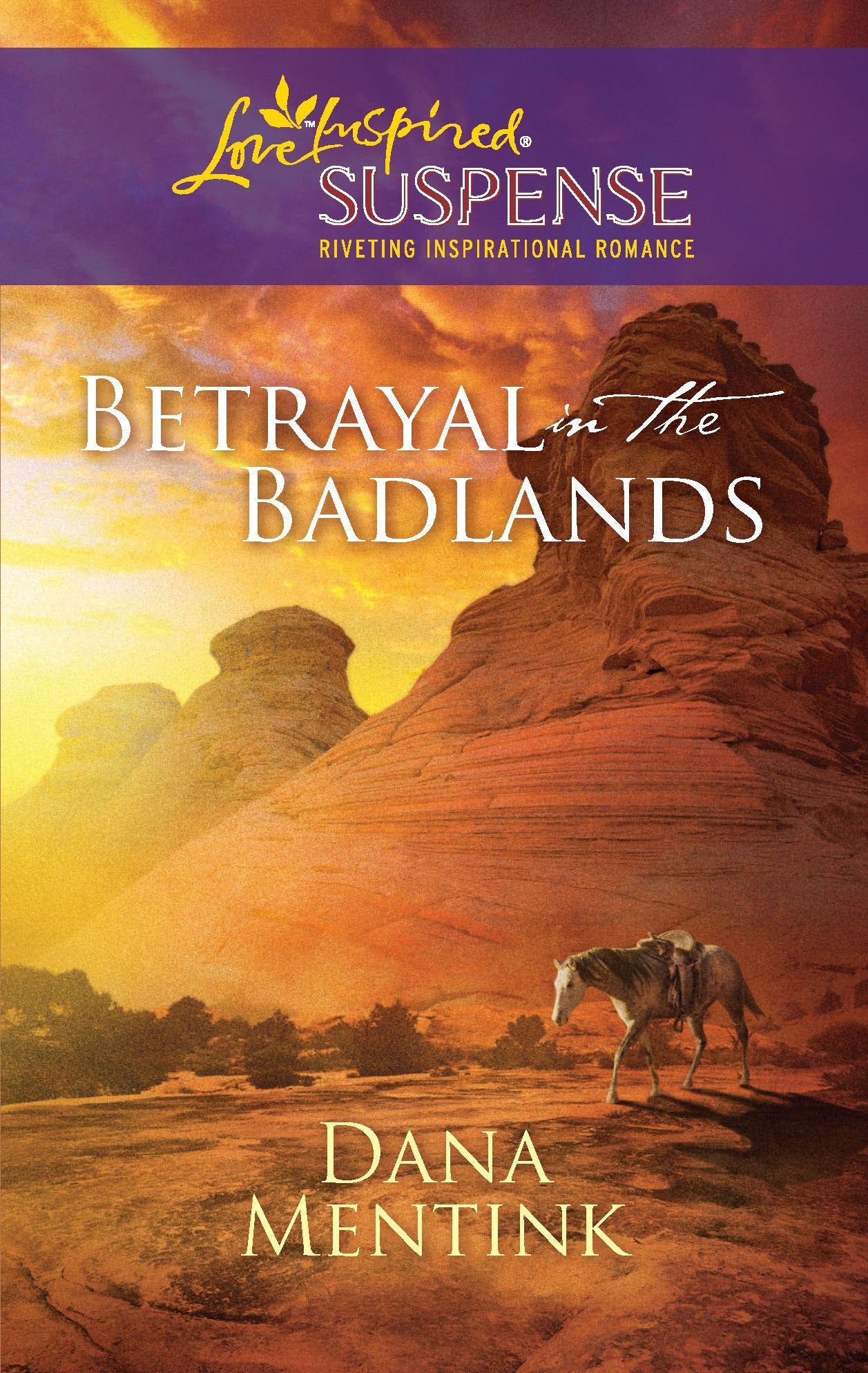Betrayal in the Badlands (Love Inspired Suspense)