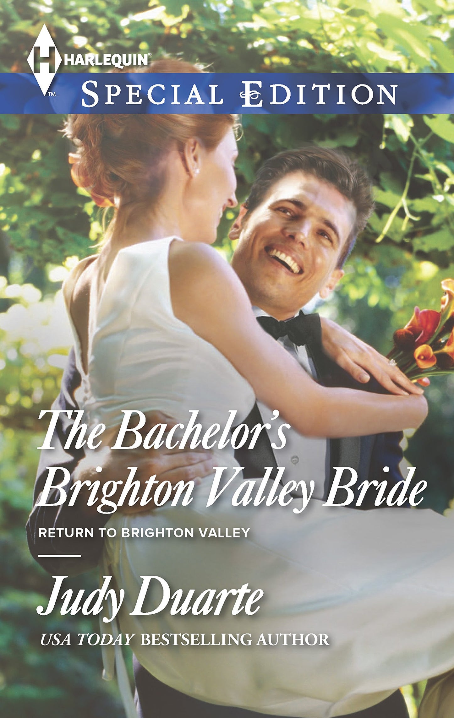 The Bachelor's Brighton Valley Bride (Return to Brighton Valley, 2)