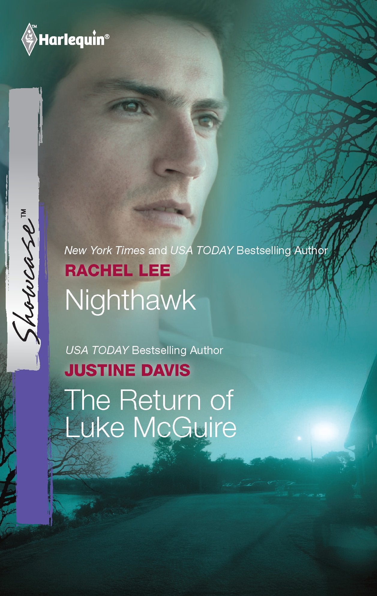 Nighthawk & The Return of Luke McGuire: An Anthology