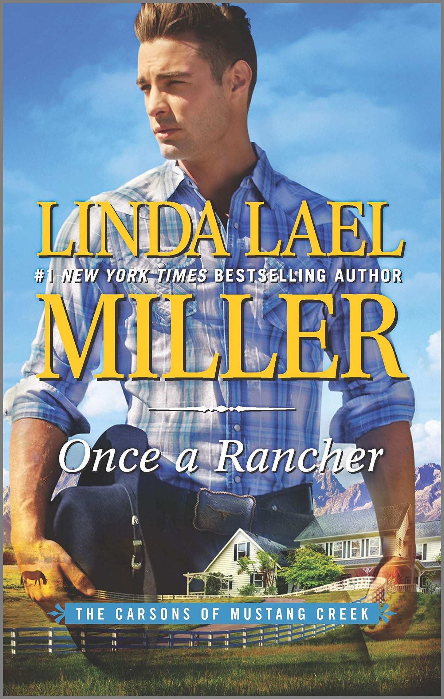 Once a Rancher (The Carsons of Mustang Creek)
