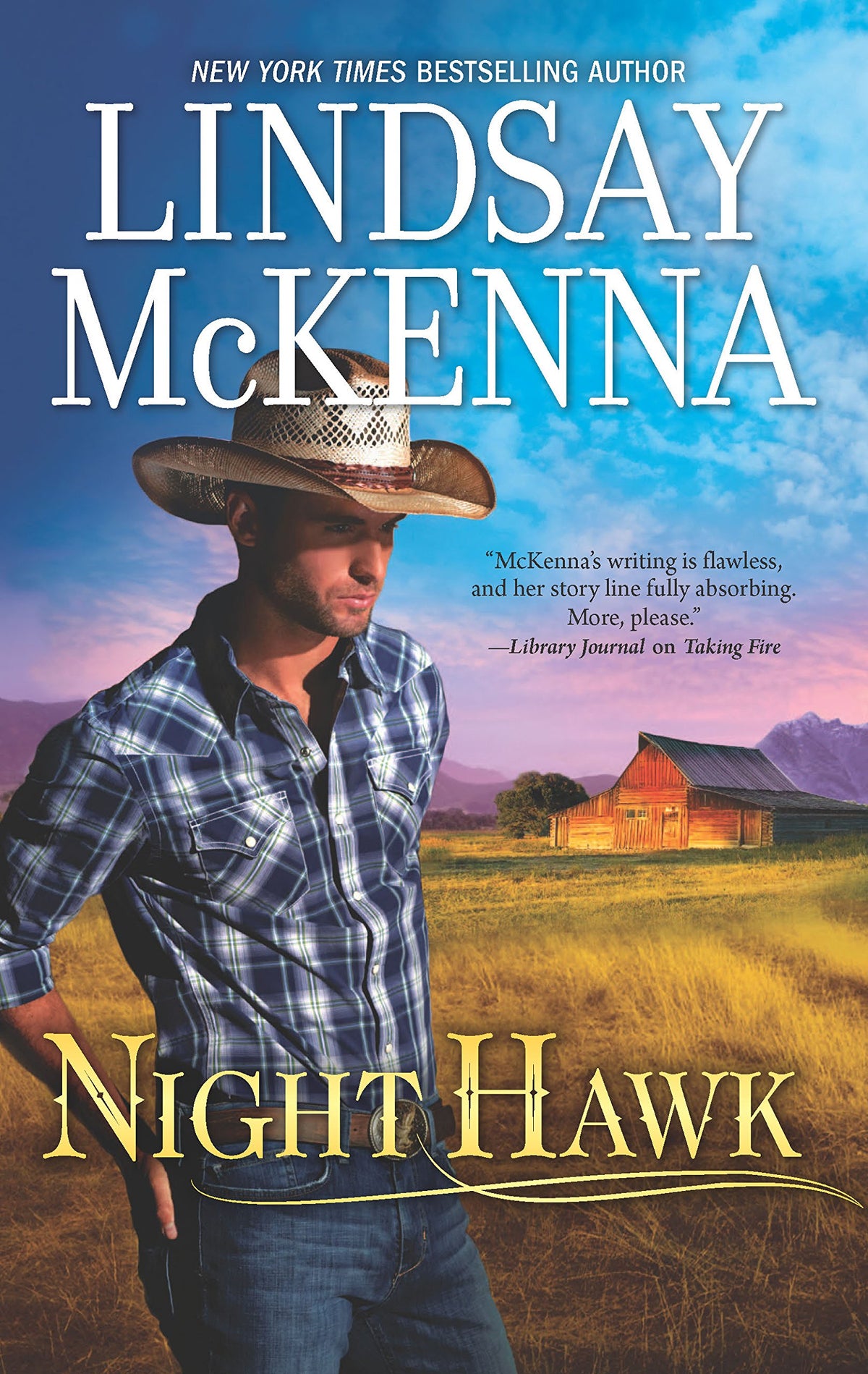 Night Hawk (Jackson Hole, Wyoming)