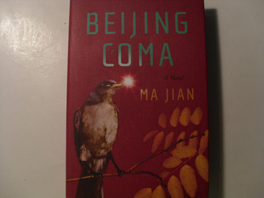 Beijing Coma: A Novel