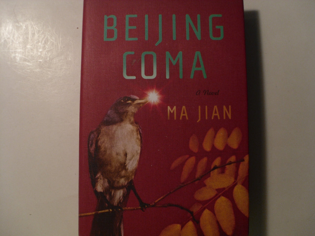 Beijing Coma: A Novel