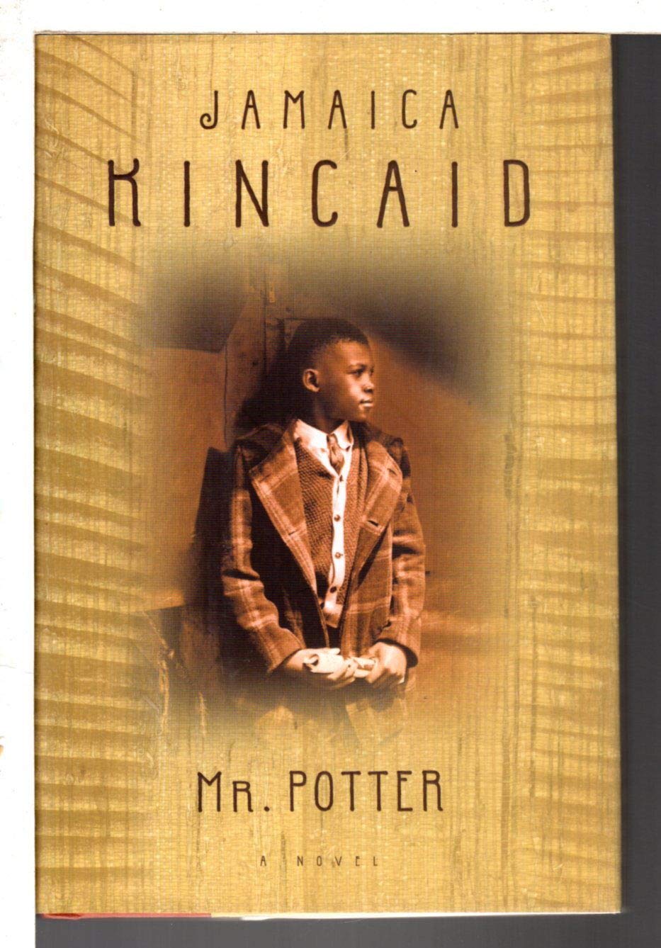 Mr. Potter: A Novel