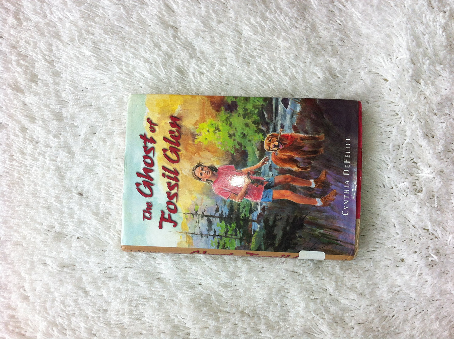 The Ghost of Fossil Glen (Ghost Mysteries)