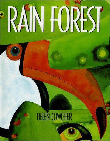 Rain Forest