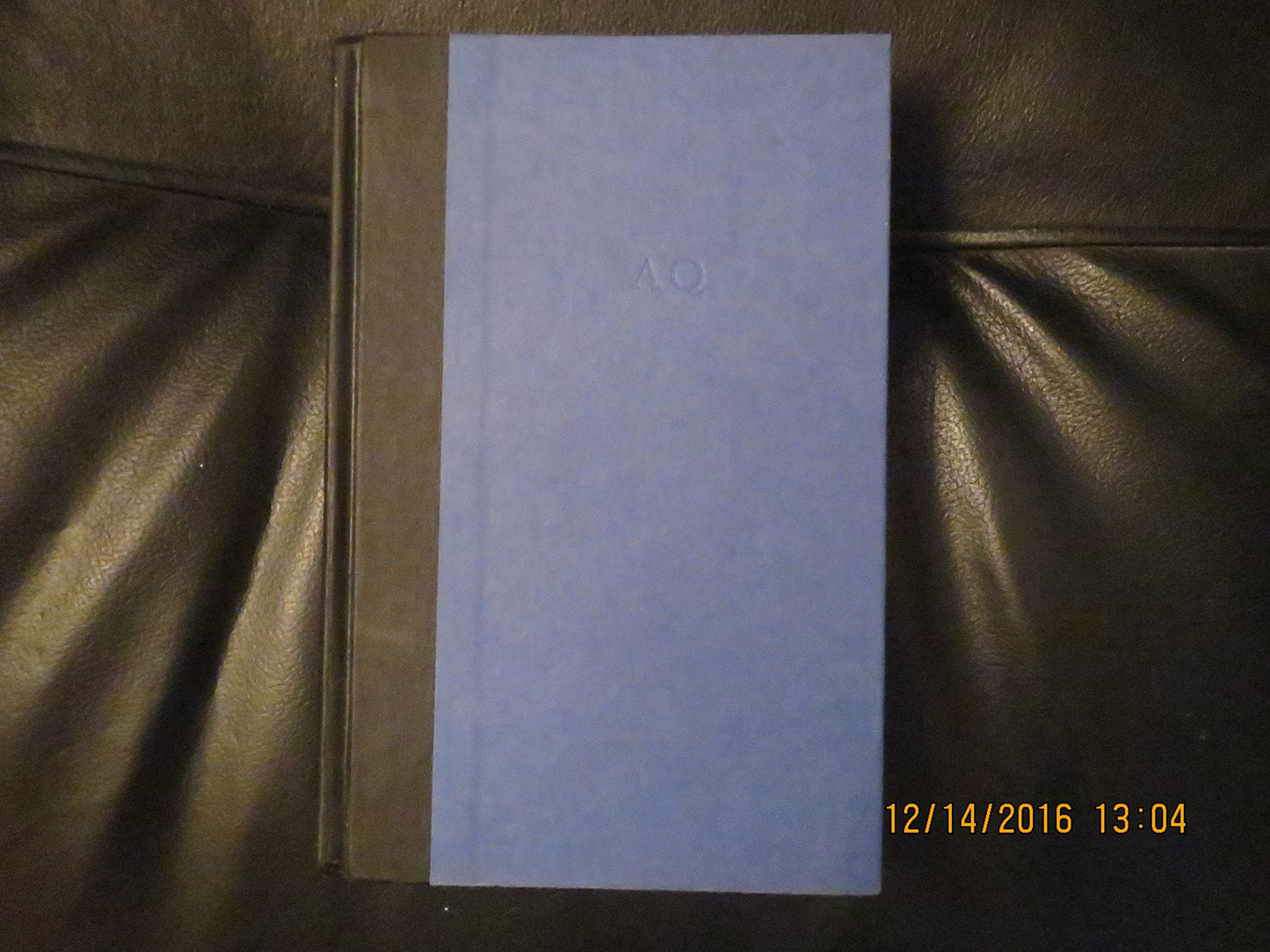 Black and Blue: A Novel