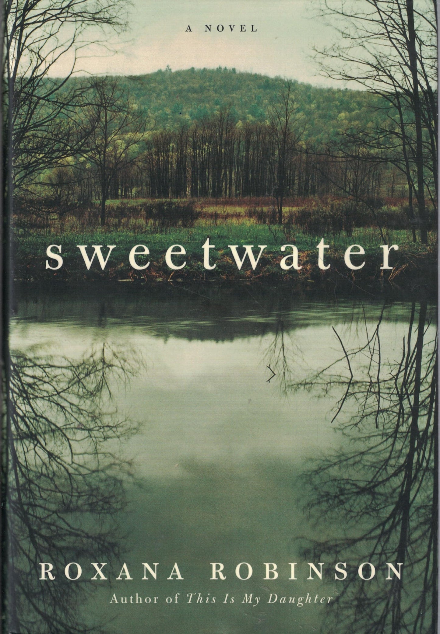 Sweetwater: A Novel