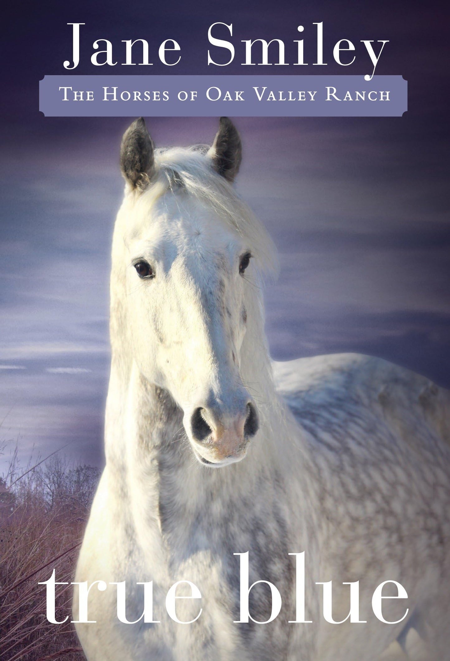 True Blue: Book Three of the Horses of Oak Valley Ranch