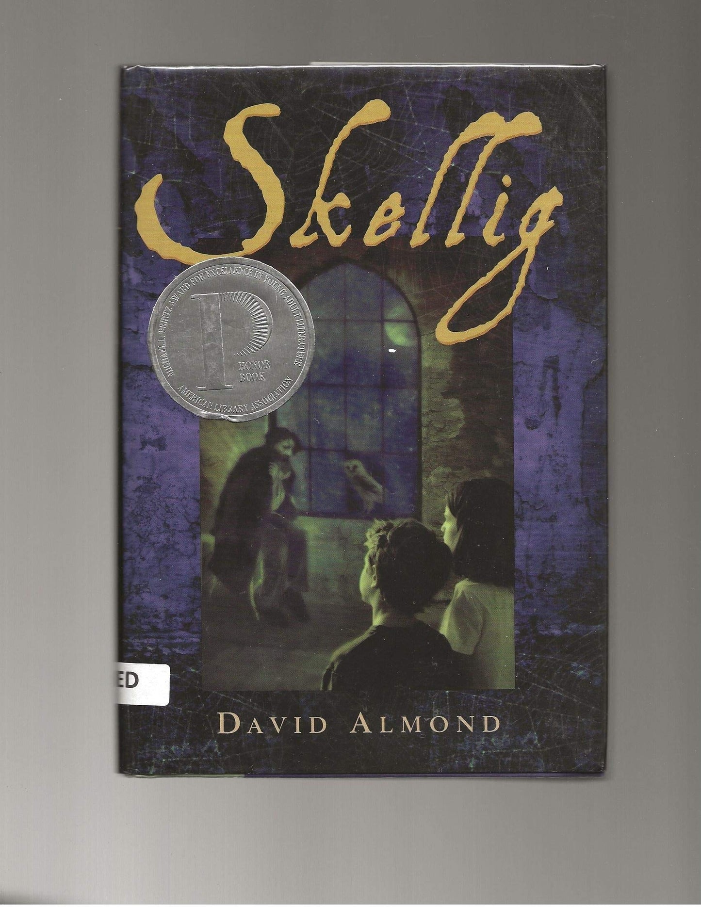 Skellig (Printz Honor)