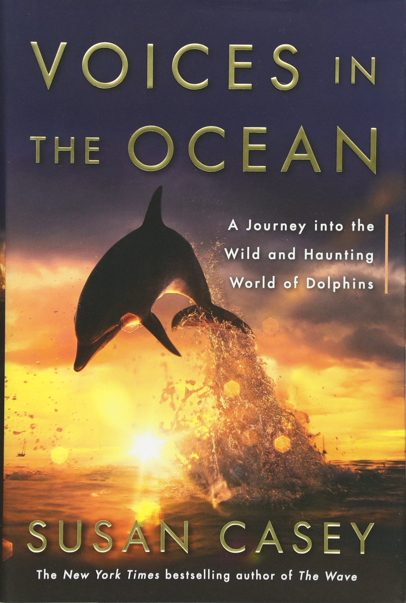 Voices in the Ocean: A Journey into the Wild and Haunting World of Dolphins