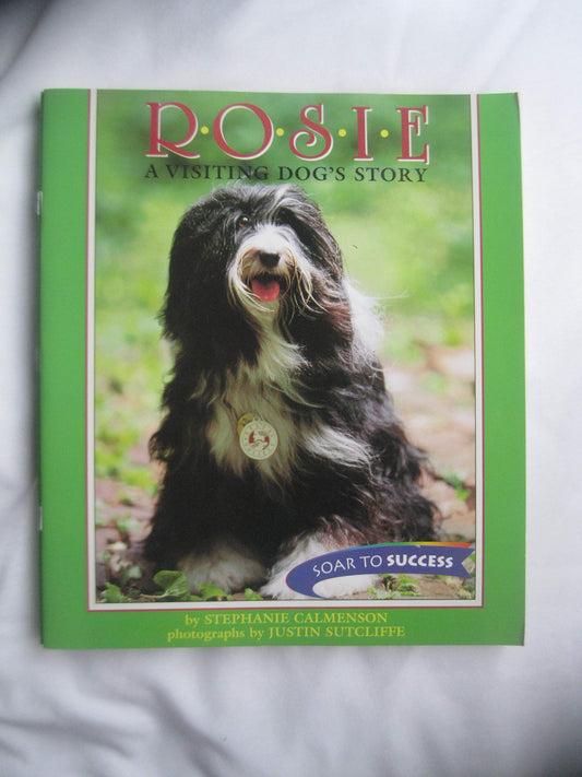 Houghton Mifflin Soar to Success: Rosie Visiting Dog Lv4 ROSIE VISITING DOG (Read Soar to Success 1999)