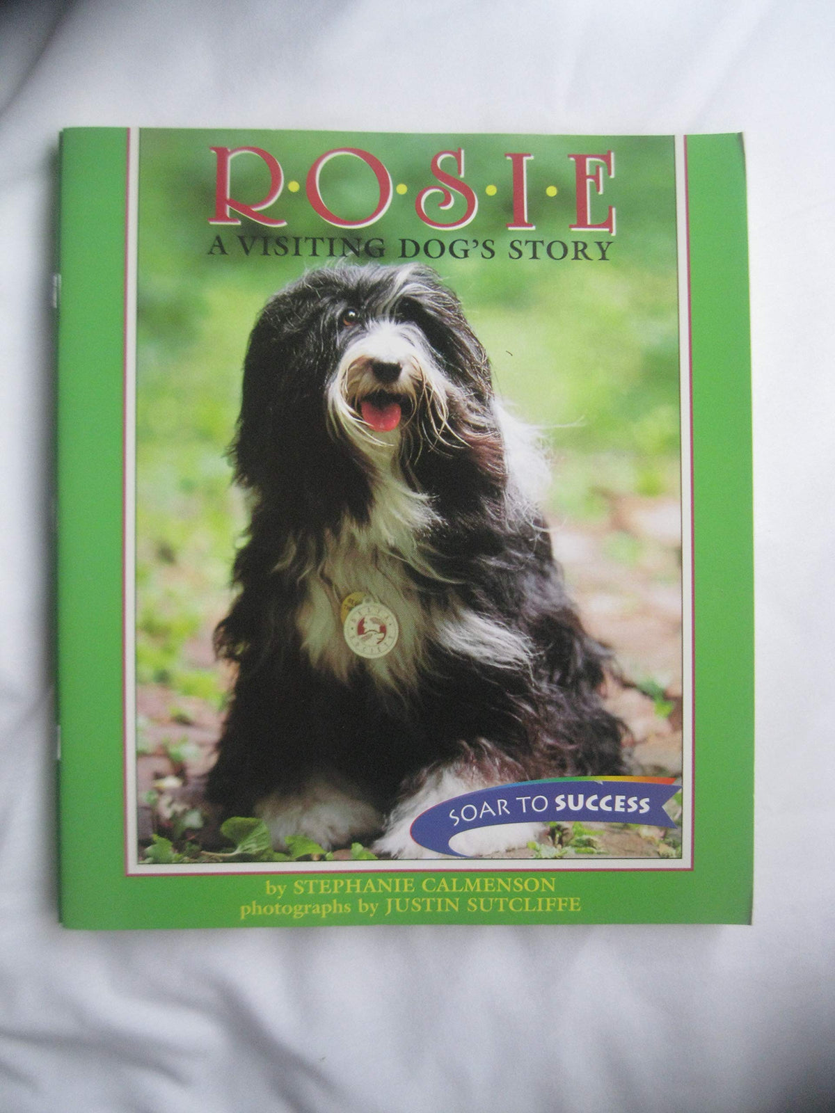 Houghton Mifflin Soar to Success: Rosie Visiting Dog Lv4 ROSIE VISITING DOG (Read Soar to Success 1999)