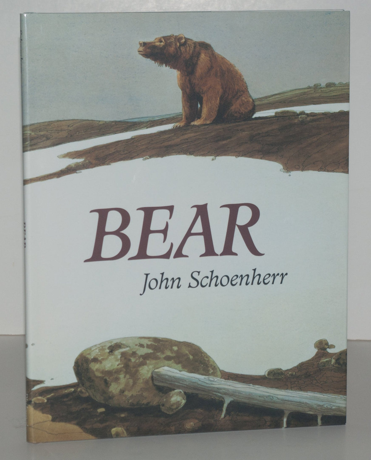 Bear