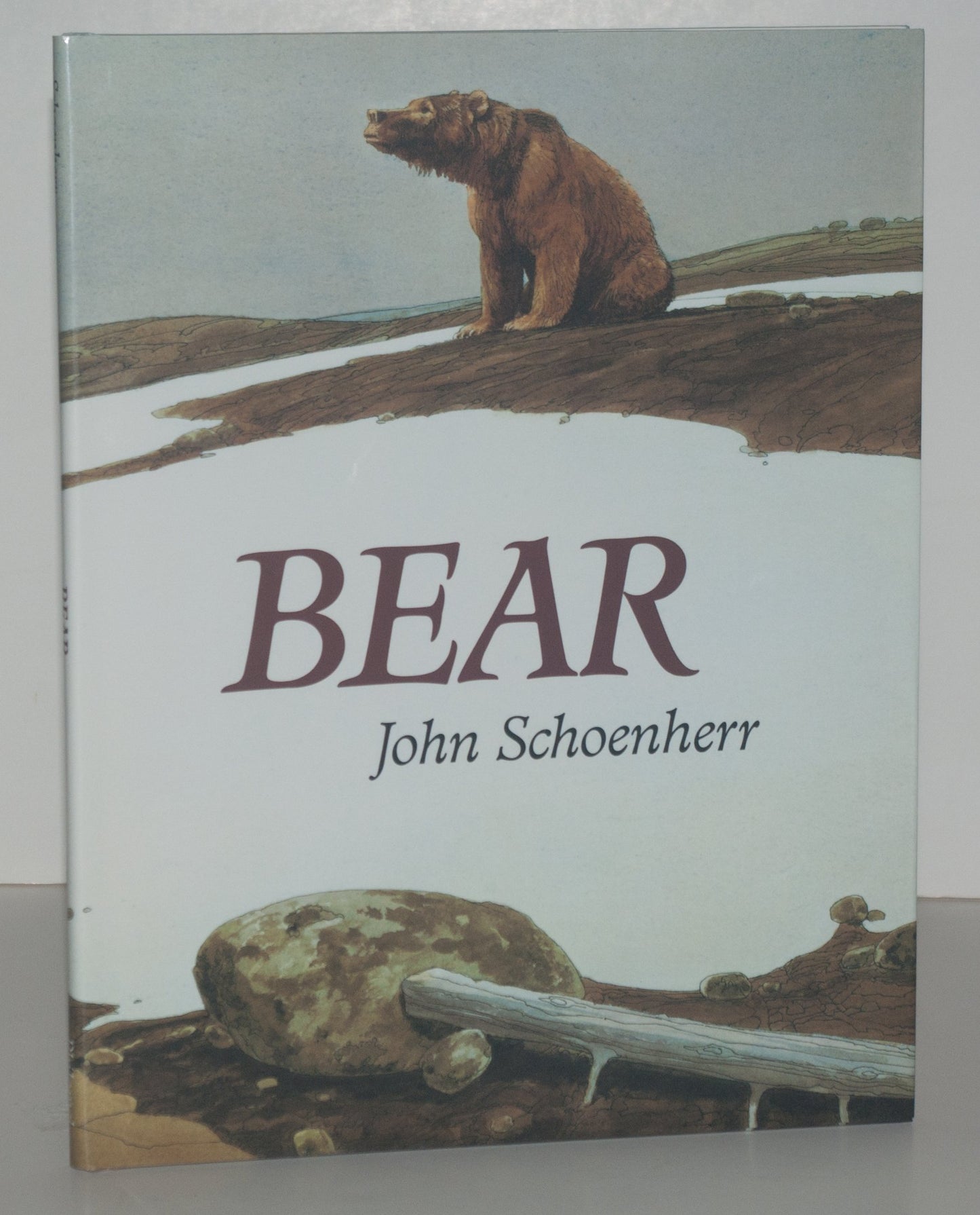 Bear