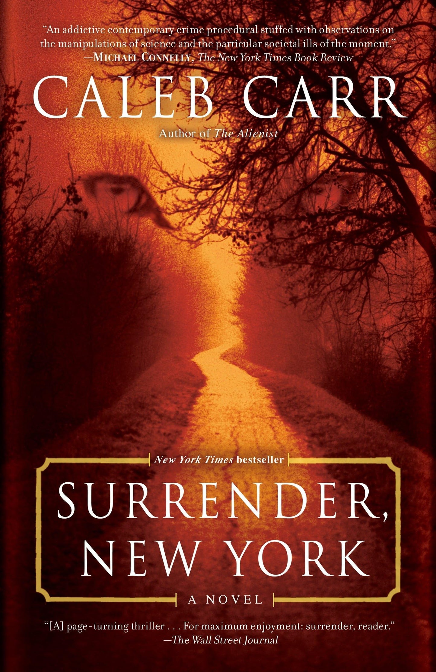 Surrender, New York: A Novel
