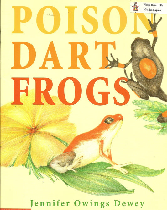 Poison dart frogs