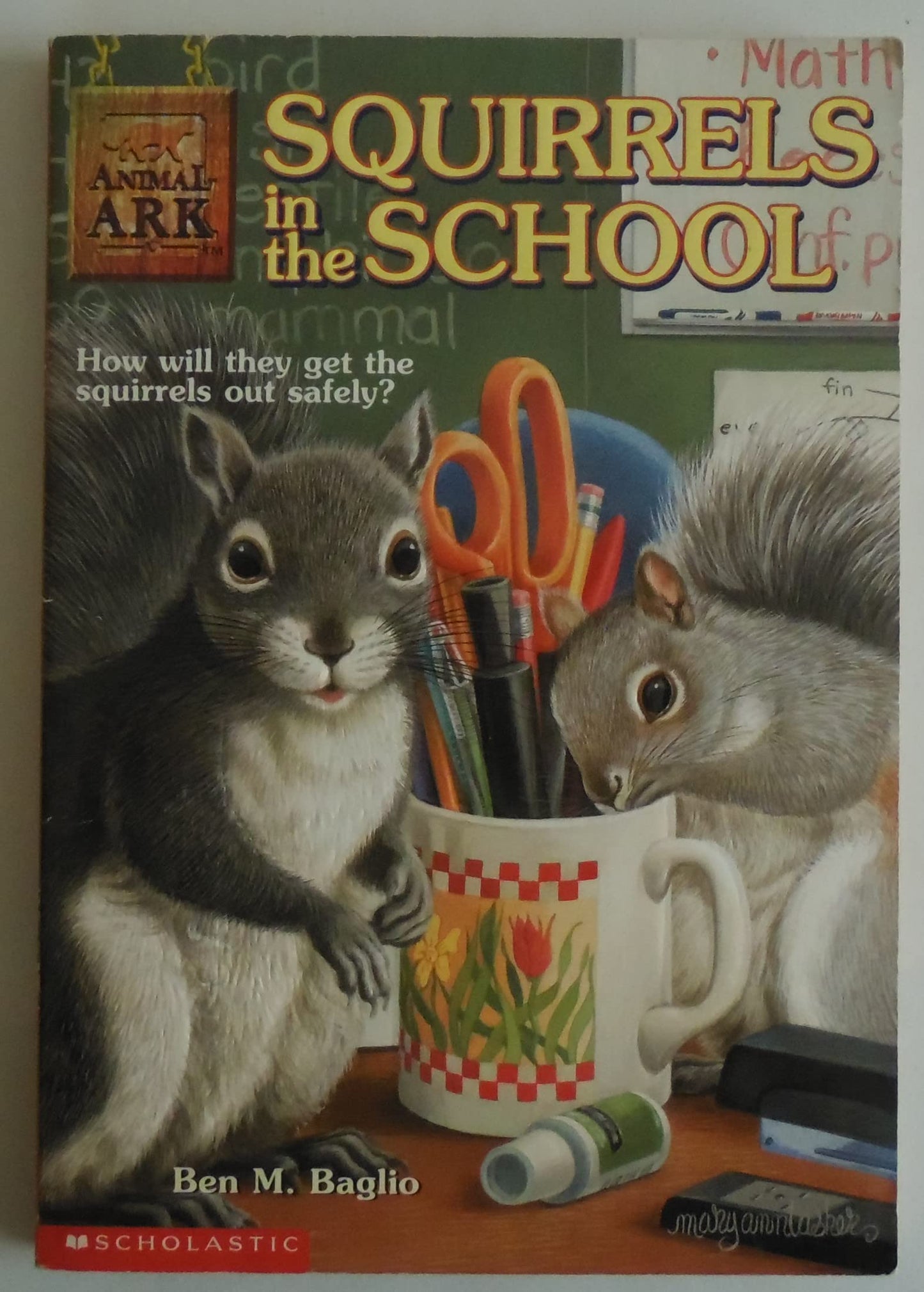 Squirrels in the School (Animal Ark Series #17)