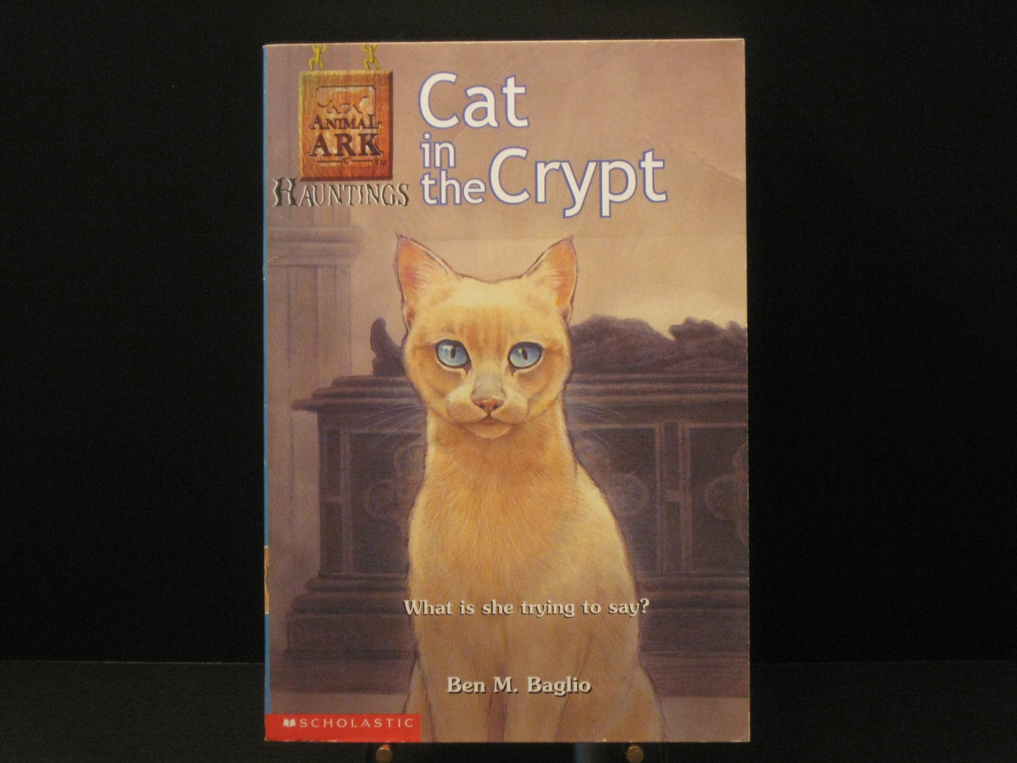 Cat in the Crypt (Animal Ark Hauntings #2)