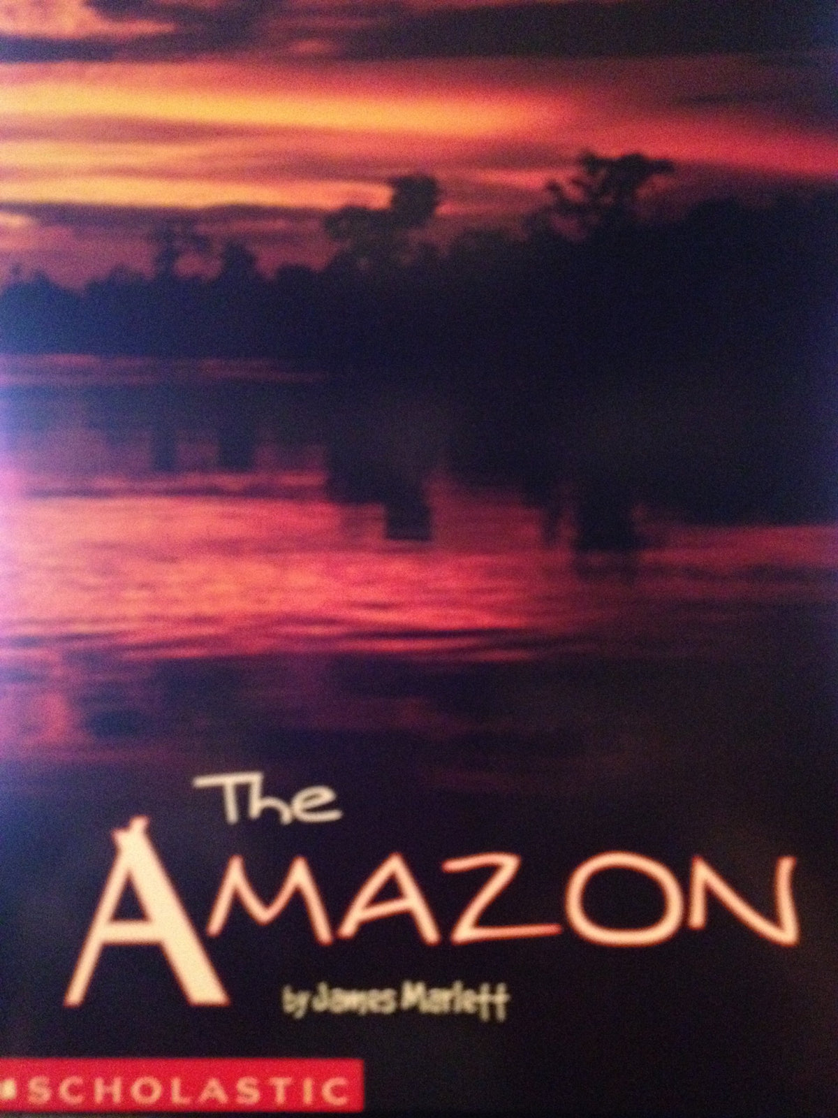 The Amazon