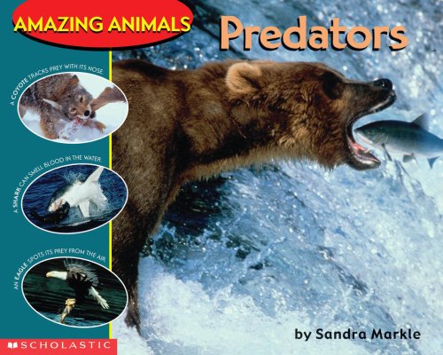 Predators (Amazing Animals)
