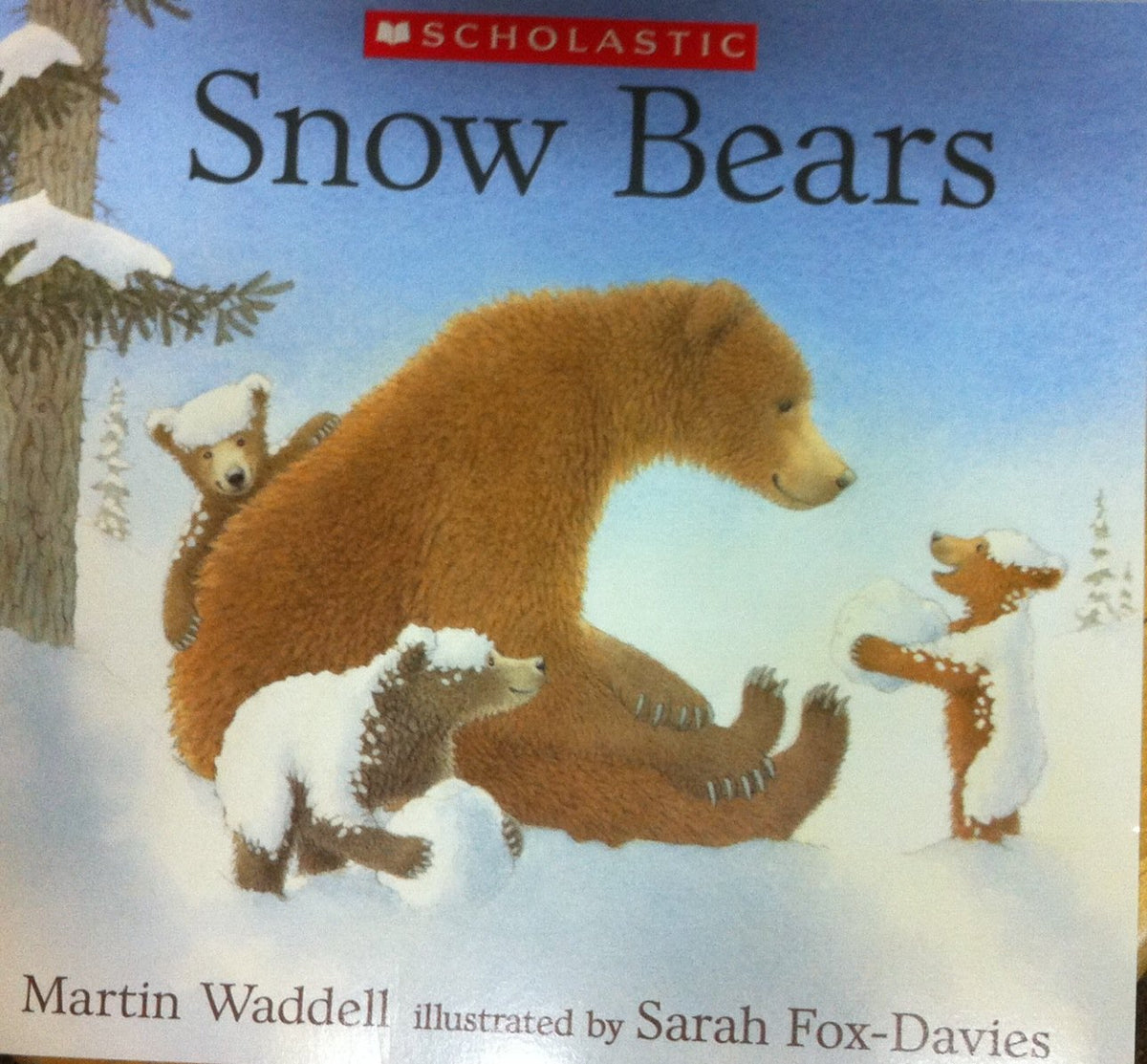 Snow Bears