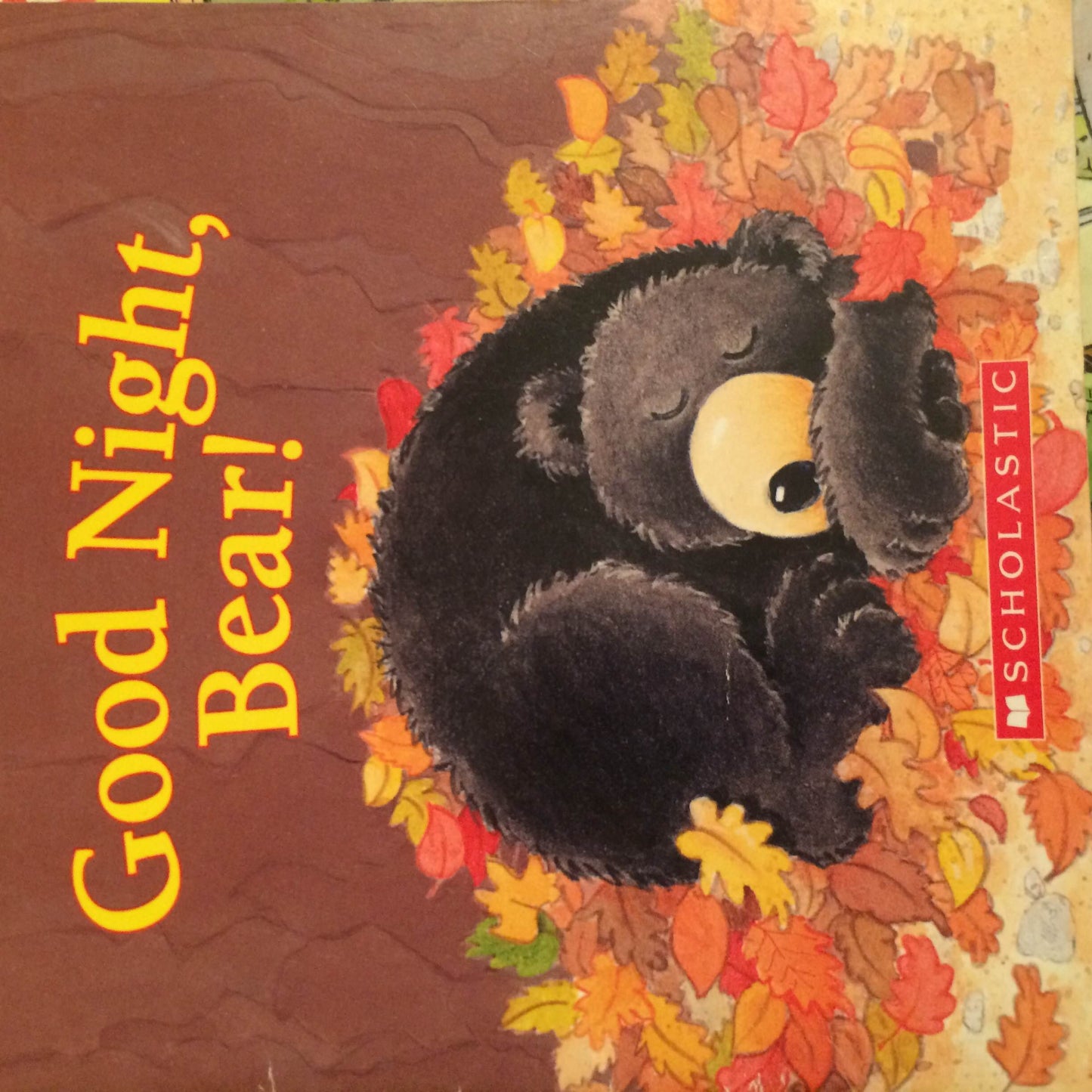 Good Night Bear