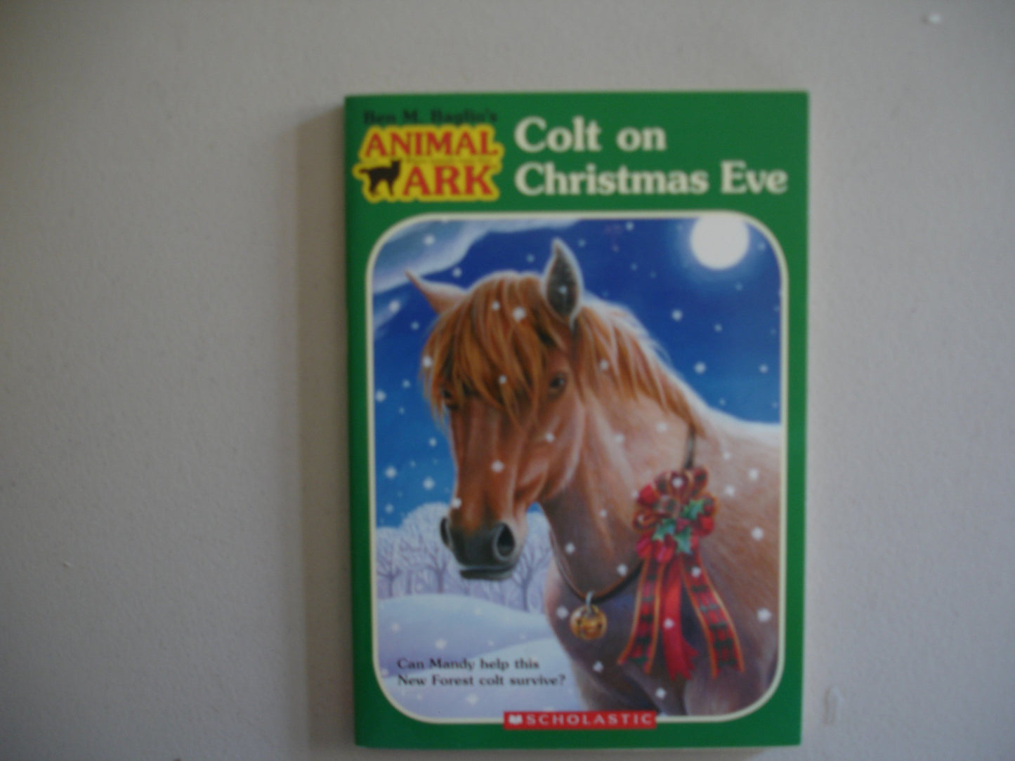 Colt on Christmas Eve