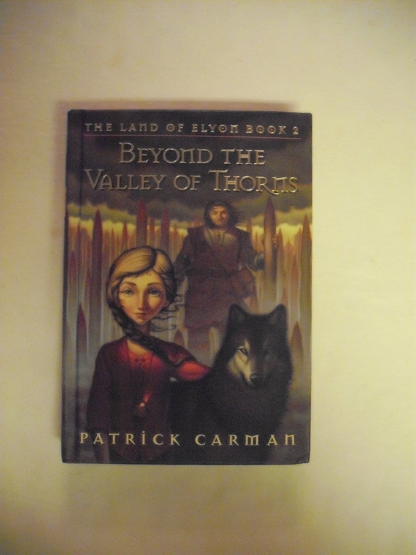 Beyond the Valley of Thorns-The Land of Elyon- Book 2