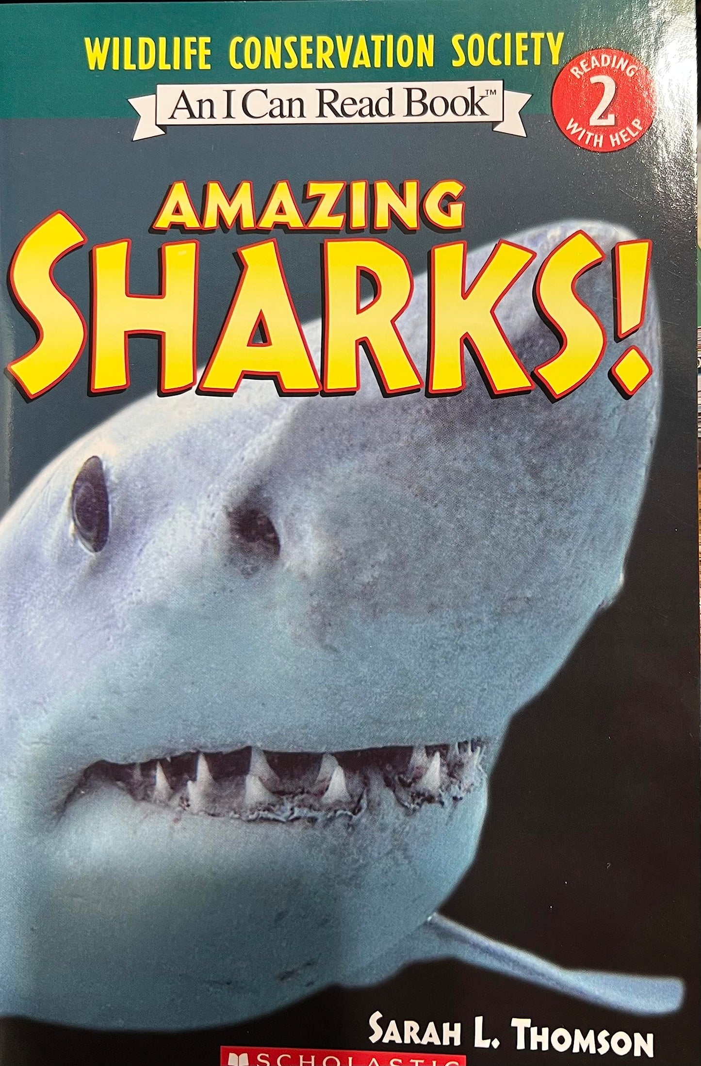 Amazing Sharks! Edition: Reprint